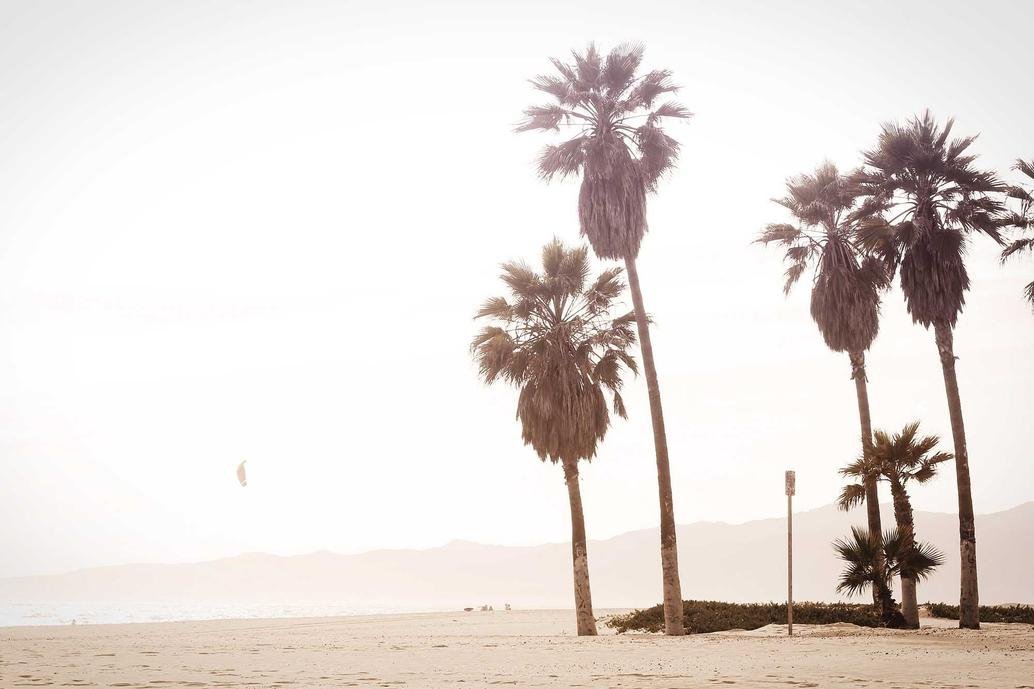 Growing up between two cultures and expectations