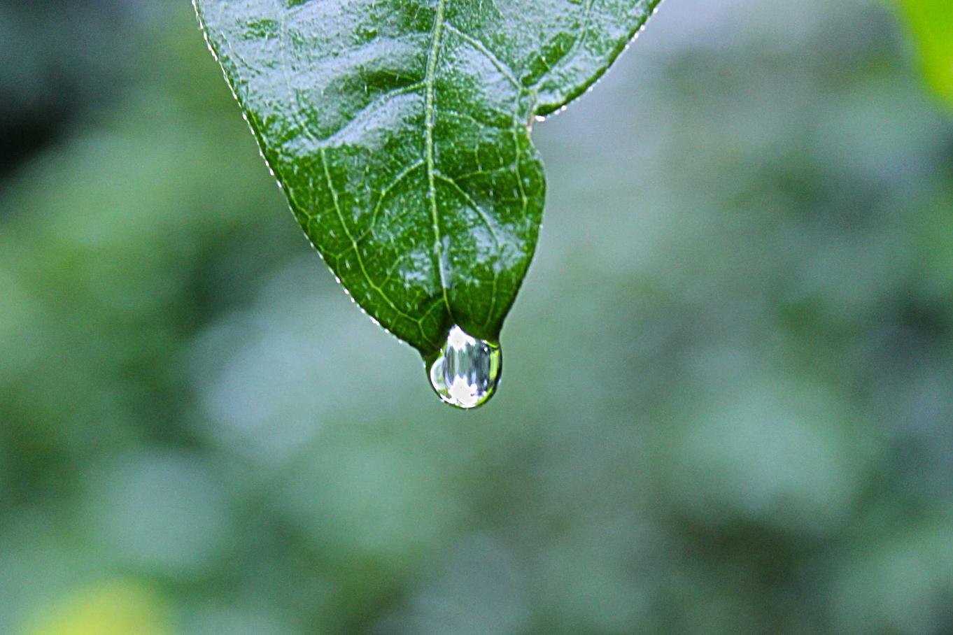 The science behind better sleep at night